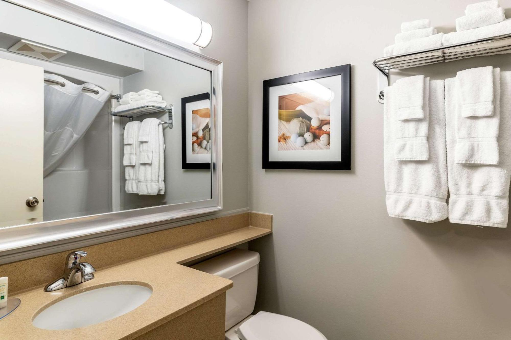 Quality Inn & Suites Amsterdam Fredericton Eksteriør billede