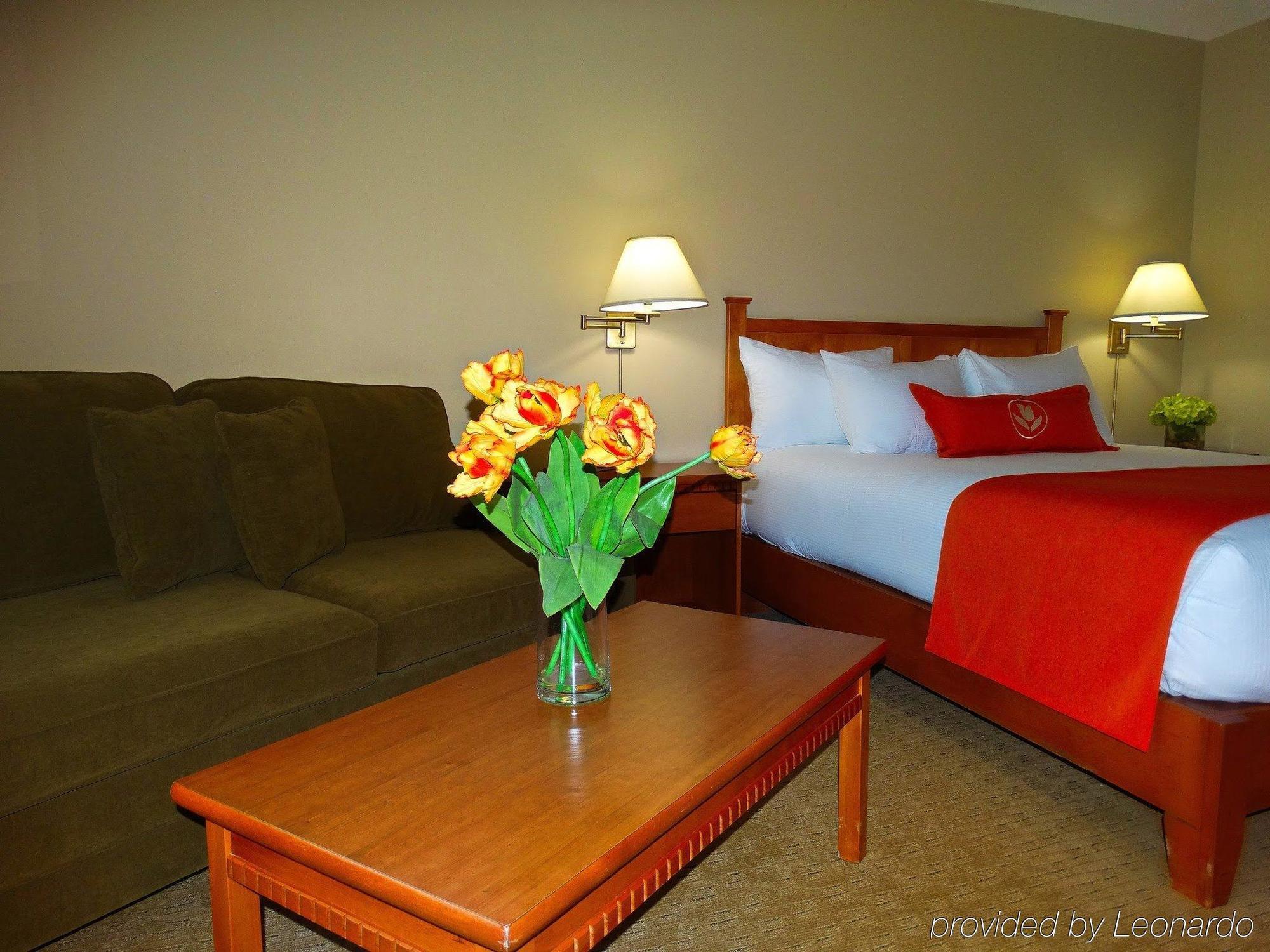 Quality Inn & Suites Amsterdam Fredericton Eksteriør billede