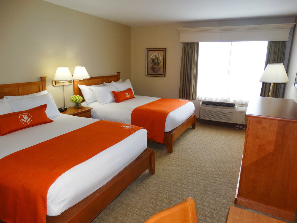 Quality Inn & Suites Amsterdam Fredericton Eksteriør billede